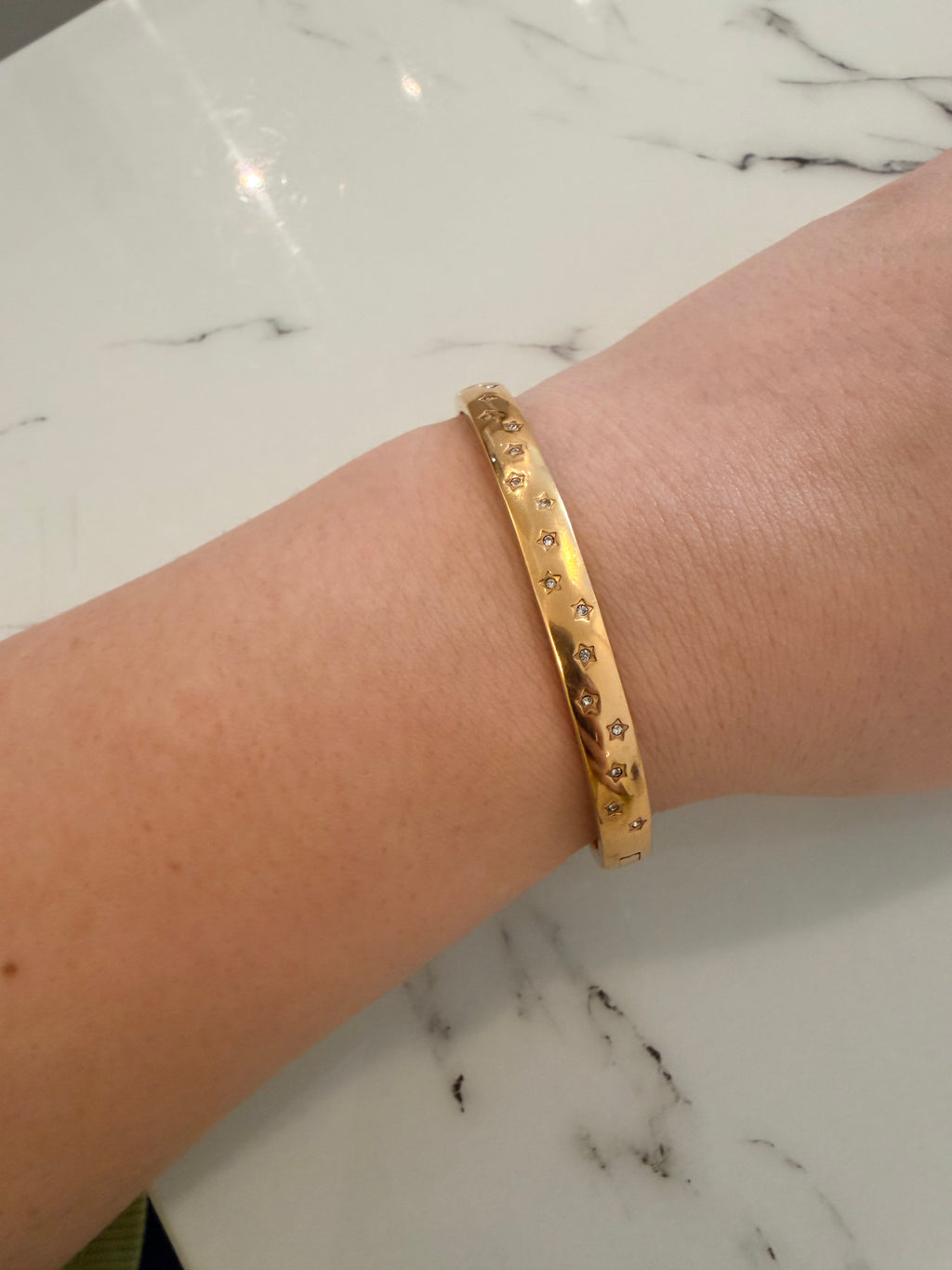 Mila Stainless Steel 18k Bracelet