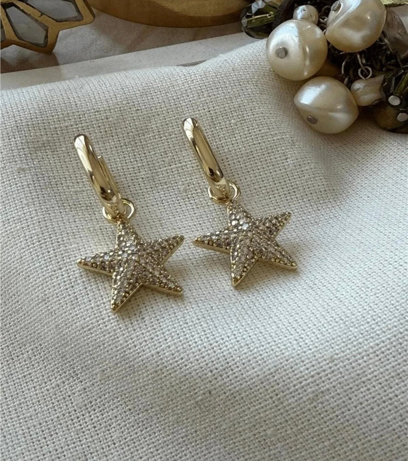 Sea Star Earring
